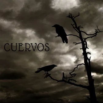 Cuervos by AKUS19