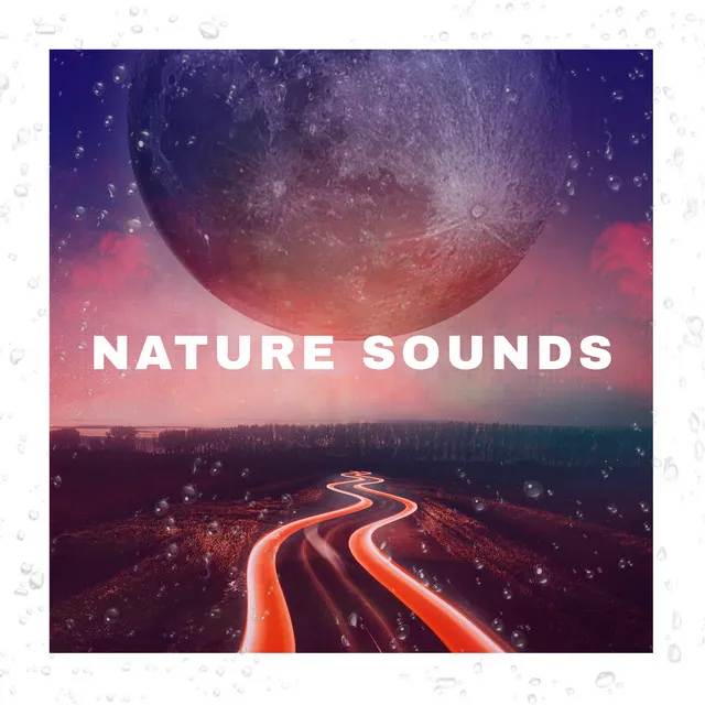 Nature Sounds