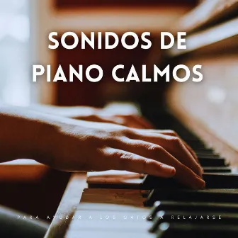 Sonidos De Piano Calmos Para Ayudar A Los Gatos A Relajarse by Piano para gatos