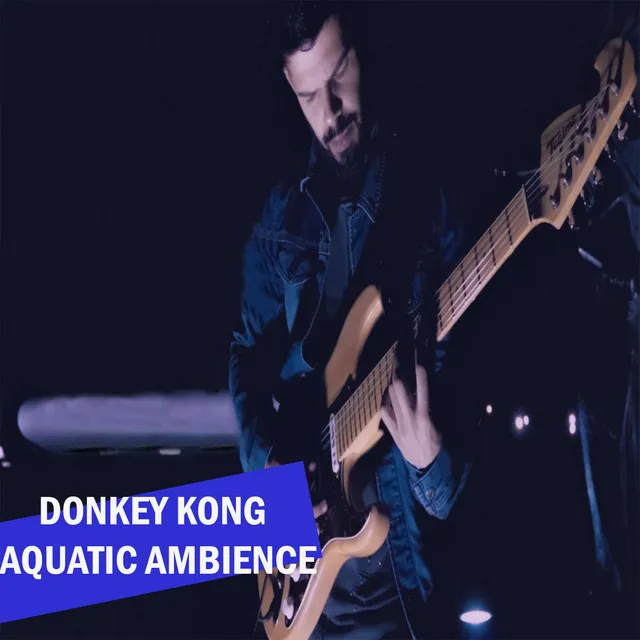 Donkey Kong: Aquatic Ambience