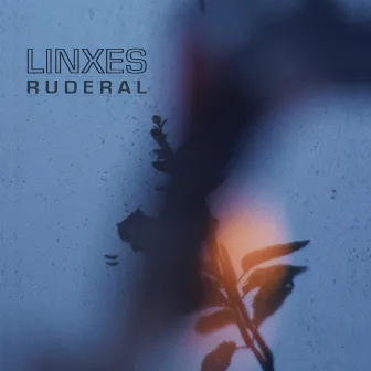 Ruderal (Ruinas Lado B) by Linxes