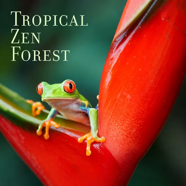 Tropical Zen Forest: Nature’s Serenity Stream, Sounds of Exotic Birds