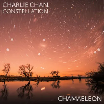 Constellation Chamaeleon by Charlie Chan