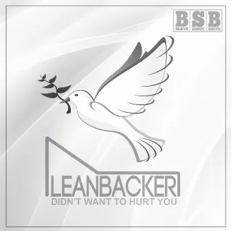 Didn't Want To Hurt You by Leanbacker