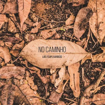 No Caminho by Luís Felipe Barbedo