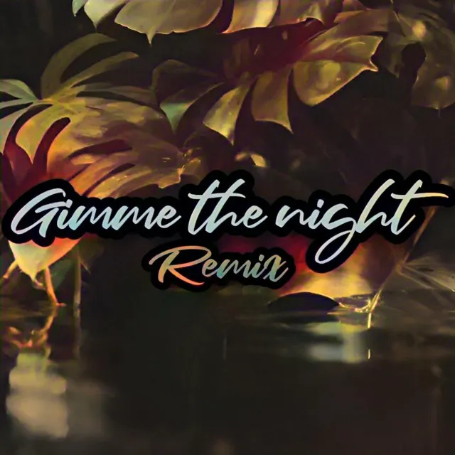 Gimme The Night