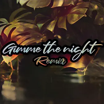 Gimme The Night by Dj Fopop