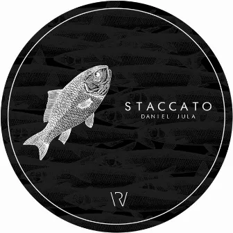 Staccato by Daniel Jula