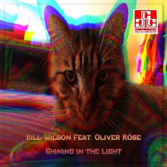 Shining in the Light by Bill Wilson