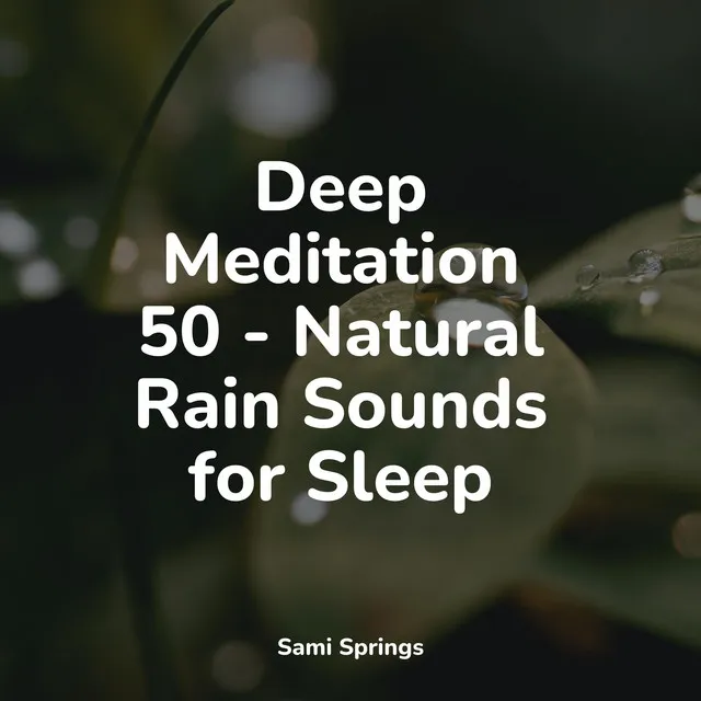 Deep Meditation 50 - Natural Rain Sounds for Sleep