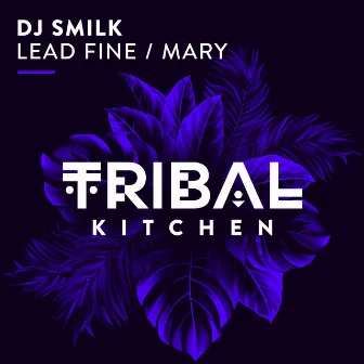 Lead Fine / Mary by DJ Smilk