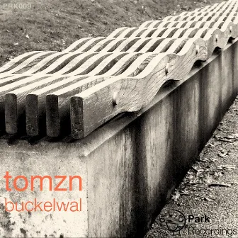 Buckelwal by Tomzn