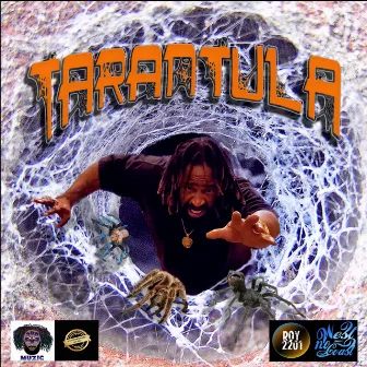 Tarantula by 3rd Eye