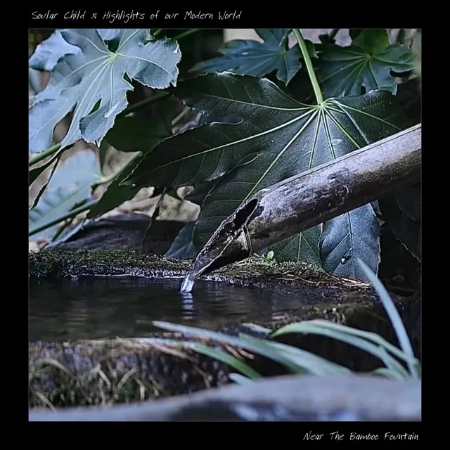 Near The Bamboo Fountain