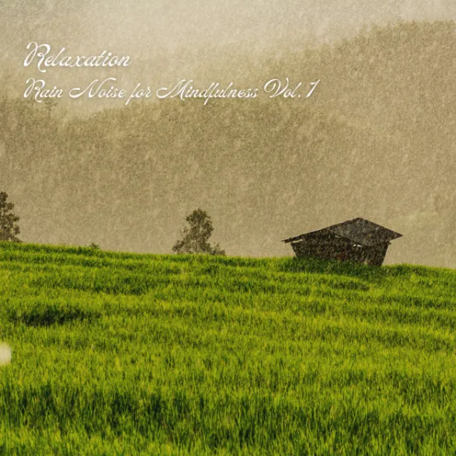 Relaxation: Rain Noise for Mindfulness Vol. 1