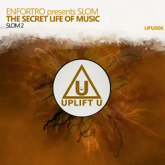 The Secret Life Of Music by Enfortro