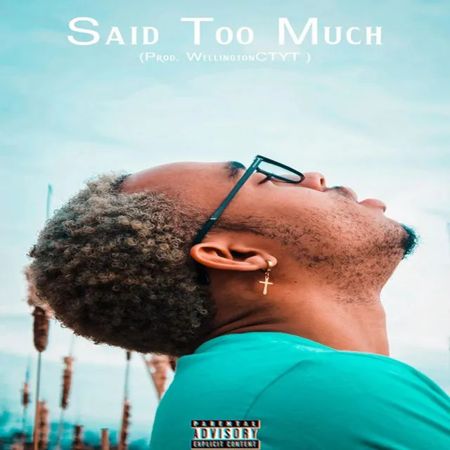 Said Too Much