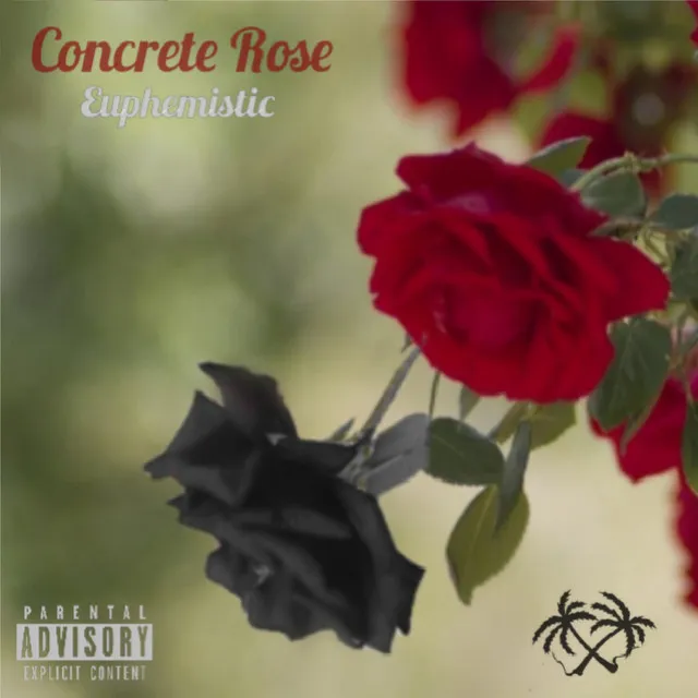 Concrete Rose