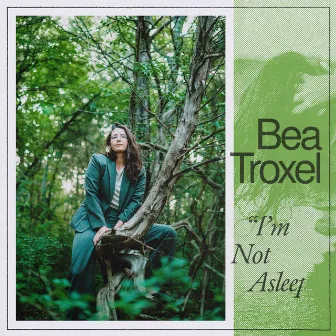 I'm Not Asleep by Bea Troxel