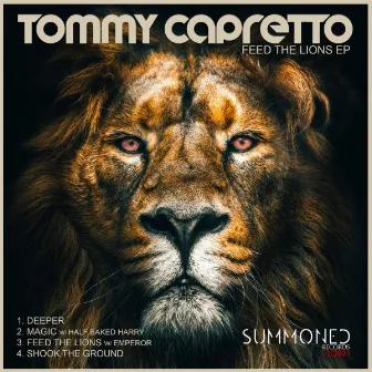 Feed the Lions by Tommy Capretto