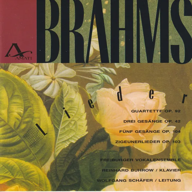 Zigeunerlieder op. 103 (für Chor): V. Brauner Bursche führt zum Tanze