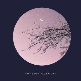 Foreign Concept by Skylu