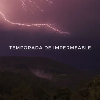 Temporada De Impermeable by Unknown Artist