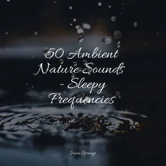 50 Ambient Nature Sounds - Sleepy Frequencies by Rainfall For Sleep