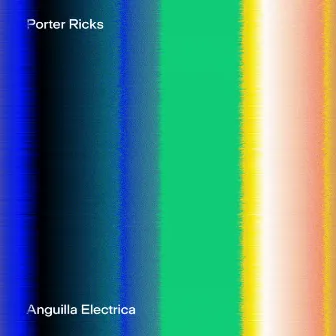 Anguilla Electrica by Porter Ricks