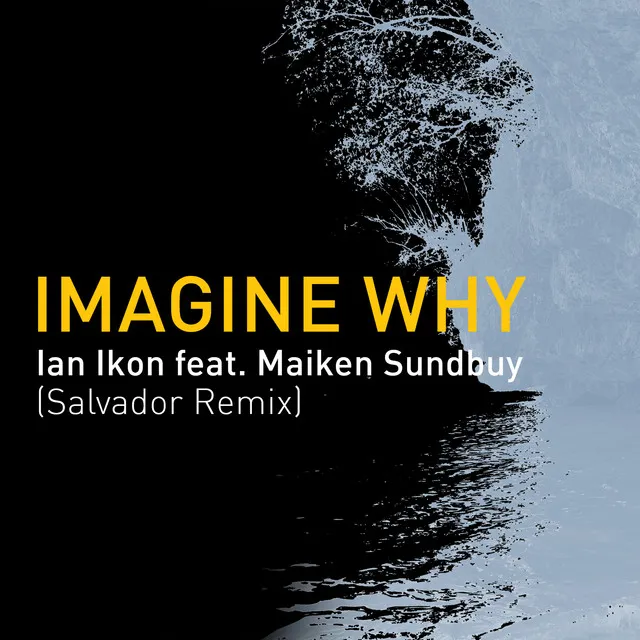 Imagine Why - Salvador Remix