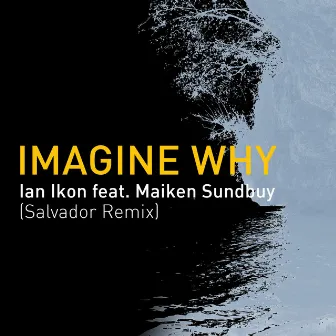 Imagine Why (Salvador Remix) by Ian Ikon