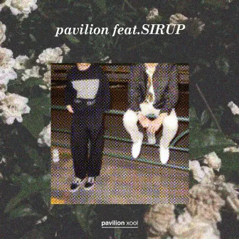 pavilion (feat. SIRUP) by pavilion xool