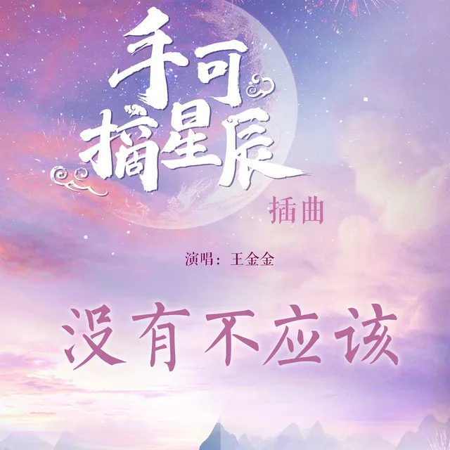 没有不应该 - 网剧《手可摘星辰》插曲