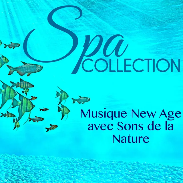 Spa Collection - Musique New Age avec Sons de la Nature & Merveilleux Chansons de Chill Out pour Massage, Bien-être, Relaxation & Énergie Positive, Collection de Méditation Spa