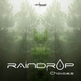 Choices by Raindrop