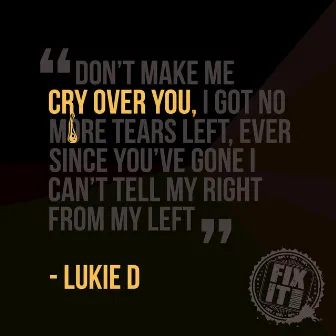 Cry Over You (Fix It Riddim) by Lukie D