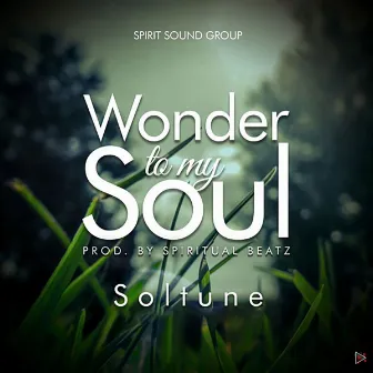 Wonder To My Soul by Soltune