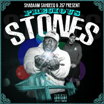 Precious Stones by Shabaam Sahdeeq