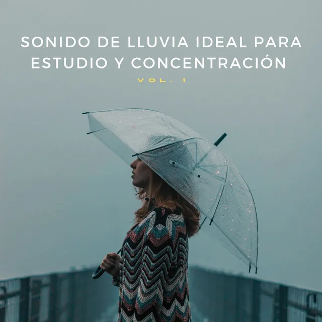 Meditación De Ruido Blanco De Lluvia Natural Perfecta