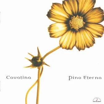 Cavatina by 