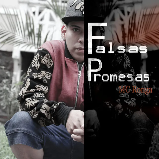 FALSAS PROMESAS