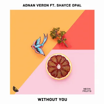 Without You by Adnan Veron