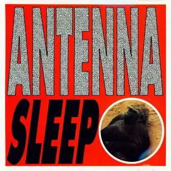 Sleep by Antenna