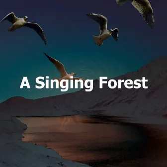 A Singing Forest by Lively Nature Sounds