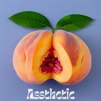 Assthetic by Bawamode