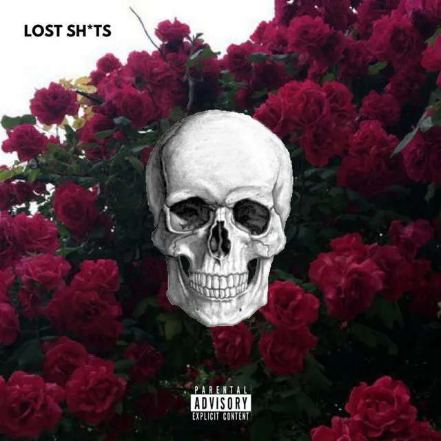 Lost Shits