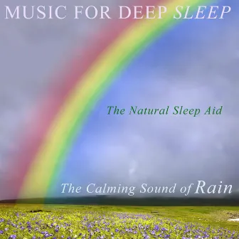 Calming Rain by Music For Deep Sleep