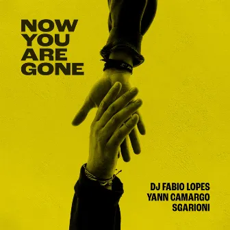 Now You Are Gone by Dj Fabio Lopes