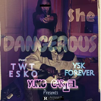 She's Dangerous by Ysk Forever