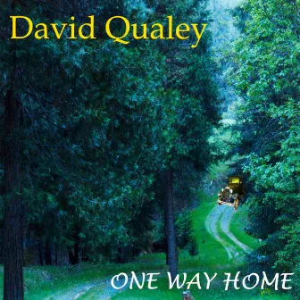 One Way Home by David Qualey